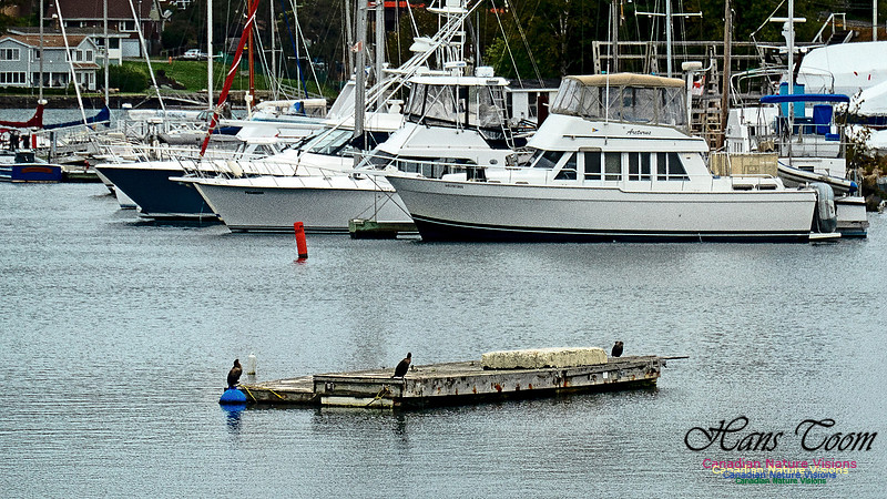 Nova Scotia in October 23