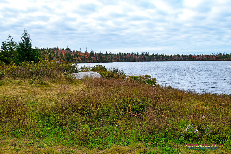 Nova Scotia in October 27