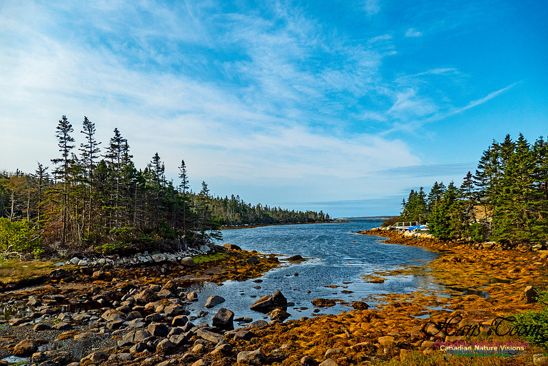 Nova Scotia in October 31