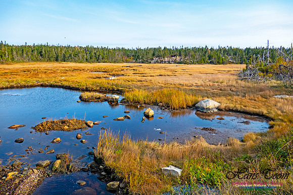 Nova Scotia in October 33