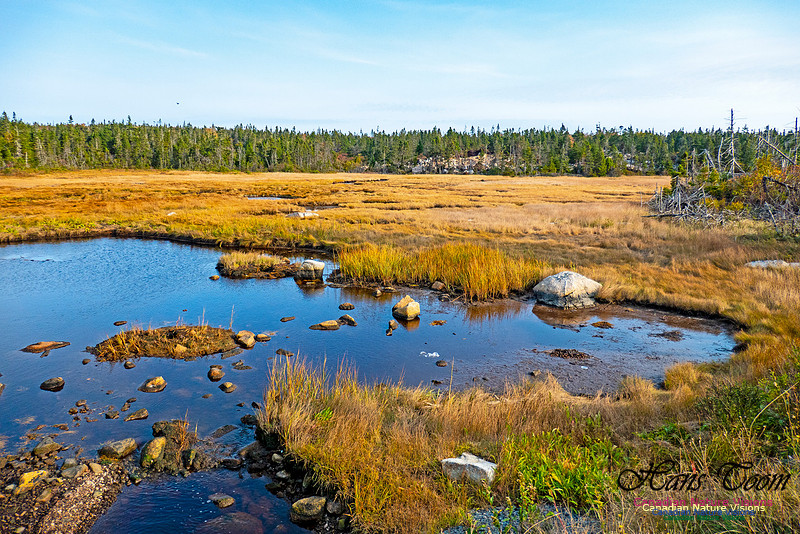 Nova Scotia in October 33
