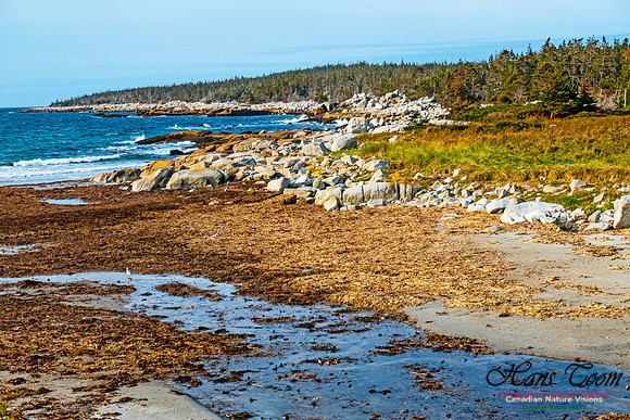 Nova Scotia in October 34