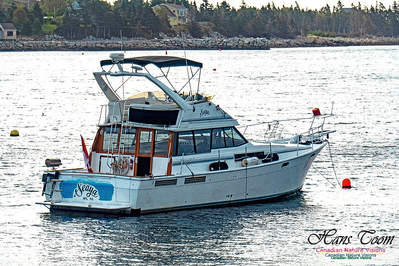 Nova Scotia in October 36