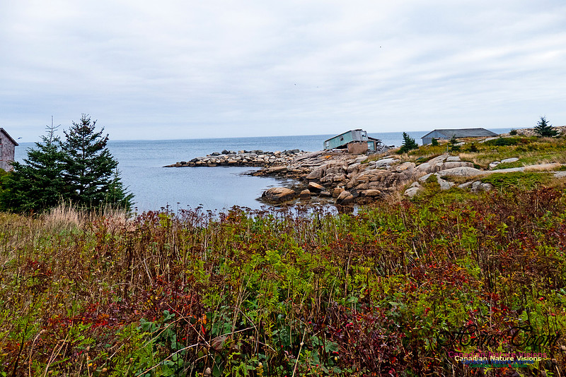 Nova Scotia in October 7
