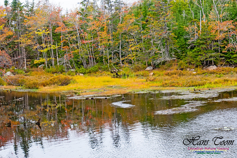 Nova Scotia in October 8