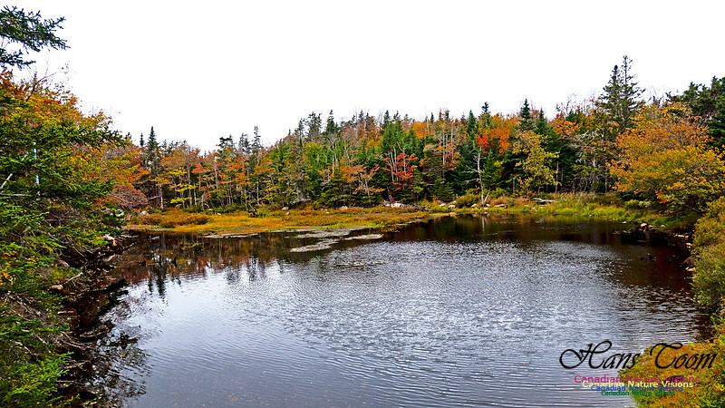 Nova Scotia in October 9