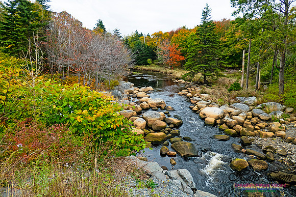 Nova Scotia in October 10