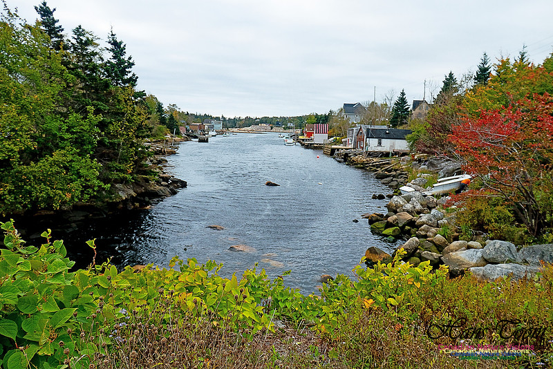 Nova Scotia in October 11