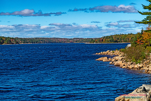 Peggy's Cove Lewis Lake Loop 4