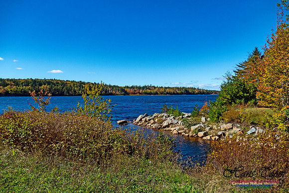 Peggy's Cove Lewis Lake Loop 6