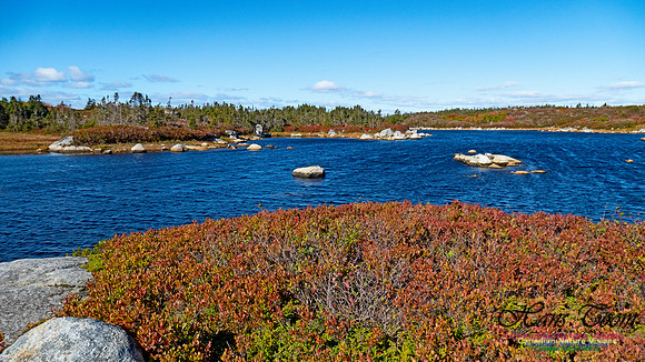 Peggy's Cove Lewis Lake Loop 28
