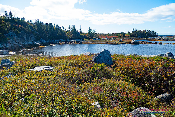 Peggy's Cove Lewis Lake Loop 32