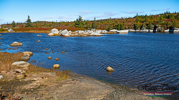 Peggy's Cove Lewis Lake Loop 36