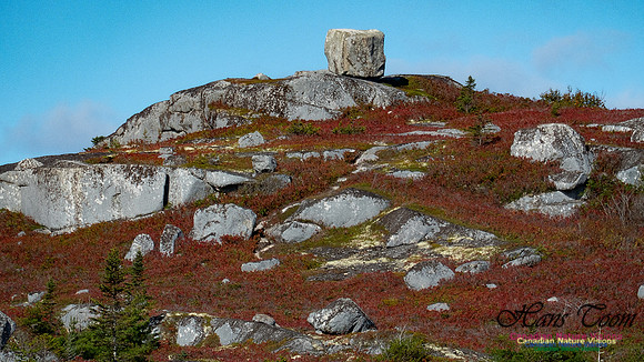Peggy's Cove Lewis Lake Loop 37