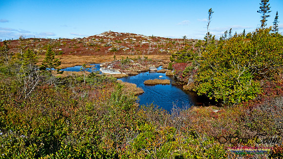 Peggy's Cove Lewis Lake Loop 38