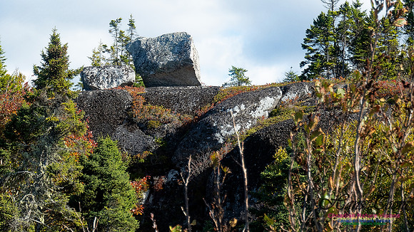 Peggy's Cove Lewis Lake Loop 39