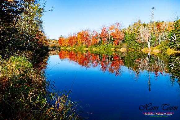 Musquodoboit Valley Tour 17