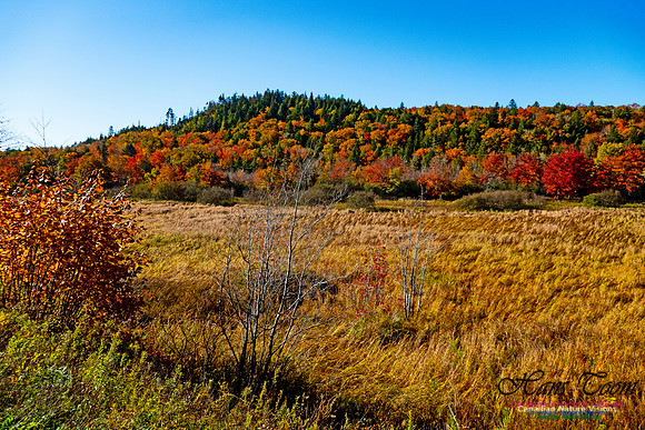 Musquodoboit Valley Tour 19