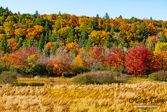 Musquodoboit Valley Tour 18