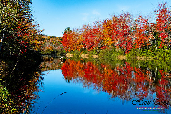 Musquodoboit Valley Tour 16