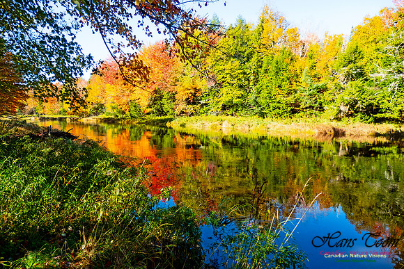 Musquodoboit Valley Tour 21