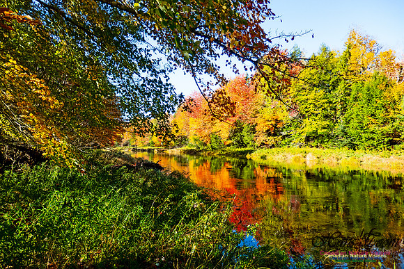 Musquodoboit Valley Tour 22