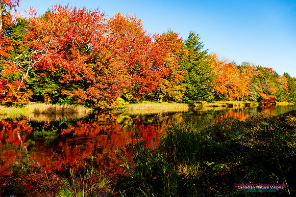 Musquodoboit Valley Tour 24
