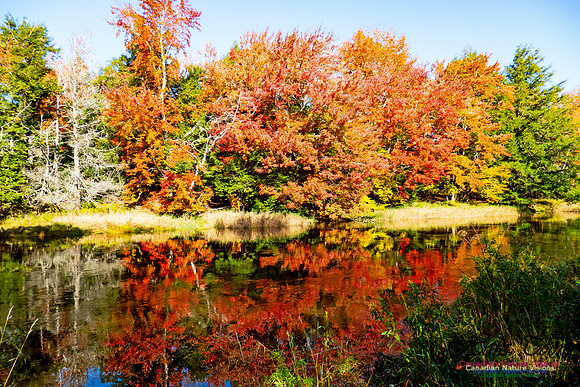 Musquodoboit Valley Tour 25