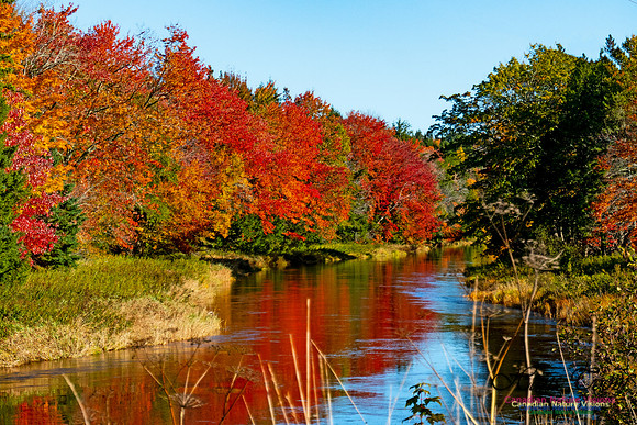 Musquodoboit Valley Tour 26