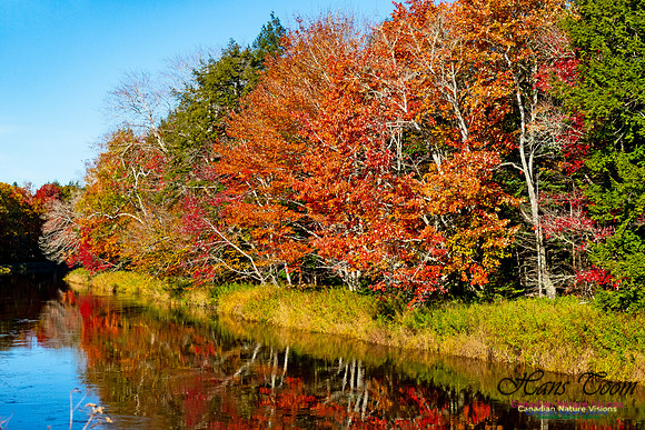 Musquodoboit Valley Tour 27