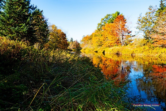 Musquodoboit Valley Tour 28