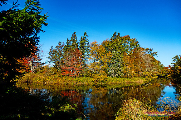 Musquodoboit Valley Tour 29