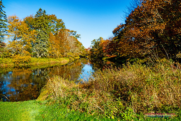 Musquodoboit Valley Tour 30