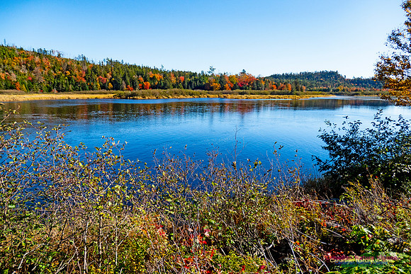 Musquodoboit Valley Tour 6