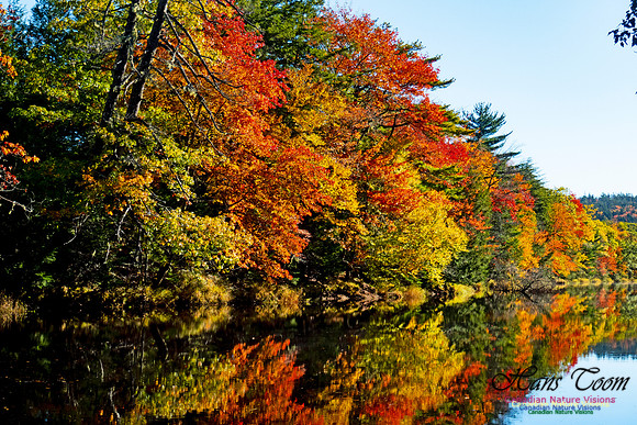 Musquodoboit Valley Tour 9