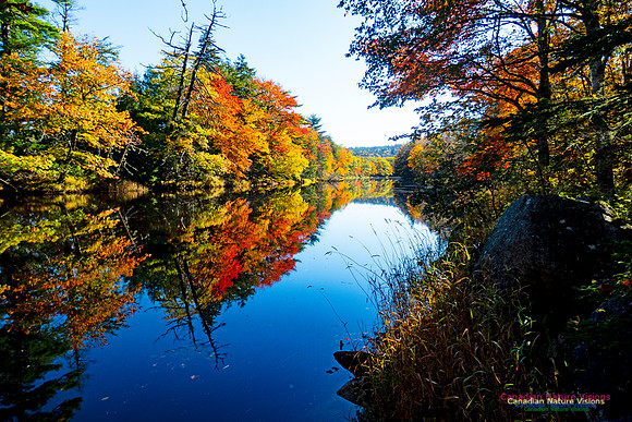 Musquodoboit Valley Tour 10