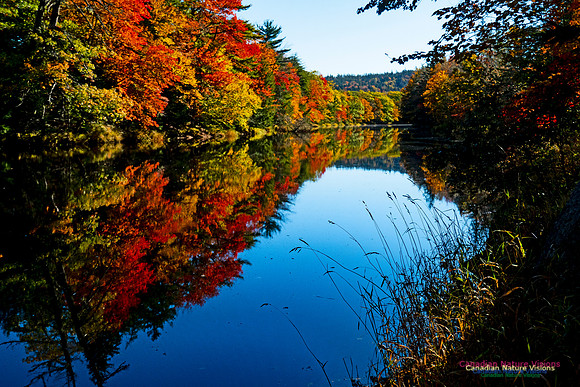 Musquodoboit Valley Tour 11
