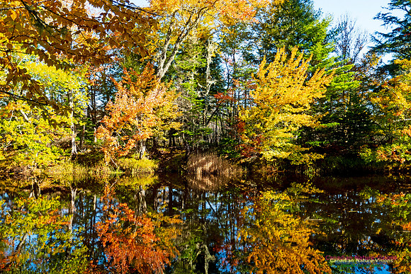 Musquodoboit Valley Tour 12