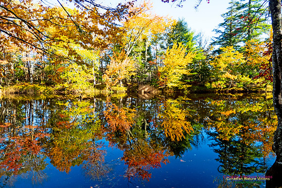 Musquodoboit Valley Tour 13