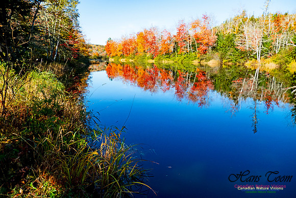 Musquodoboit Valley Tour 14