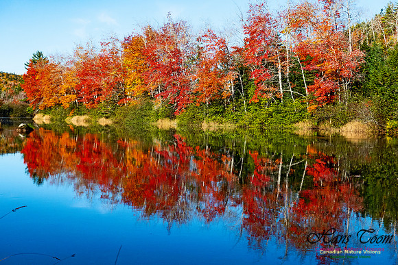 Musquodoboit Valley Tour 15