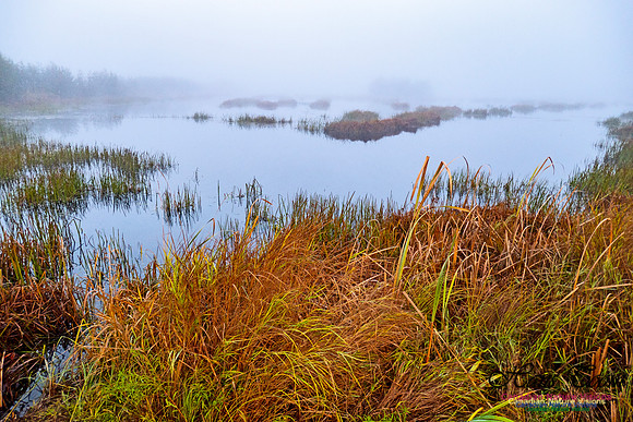 Morning Fog 7