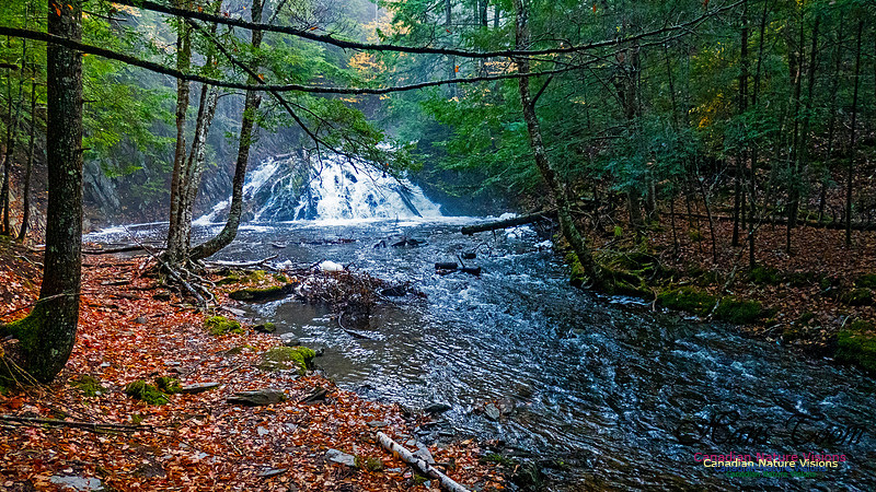 Butcher's Falls 607