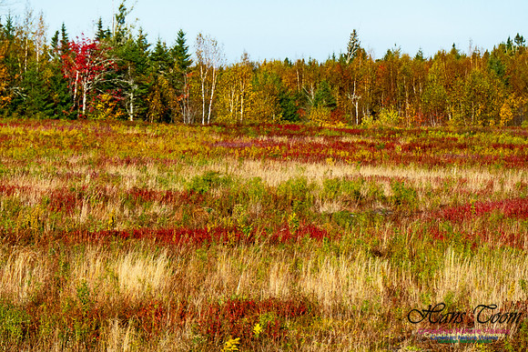 More Fall Colours 2