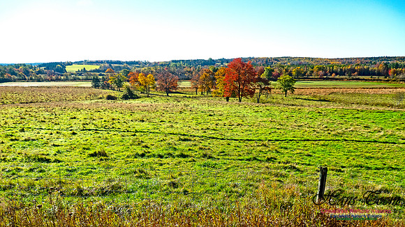 More Fall Colours 1