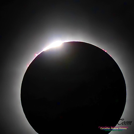 2024-04-08 Eclipse copy 104