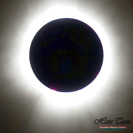 2024-04-08 Eclipse copy 110