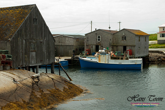 Peggys Cove