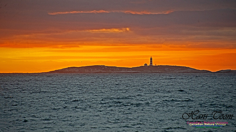 Dawn Over Sambro Islands 105