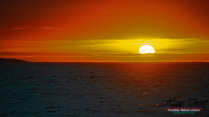 Dawn Over Sambro Islands 108